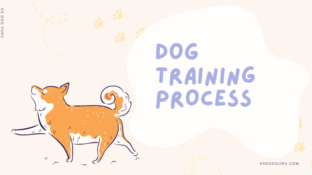 Dog Training Process