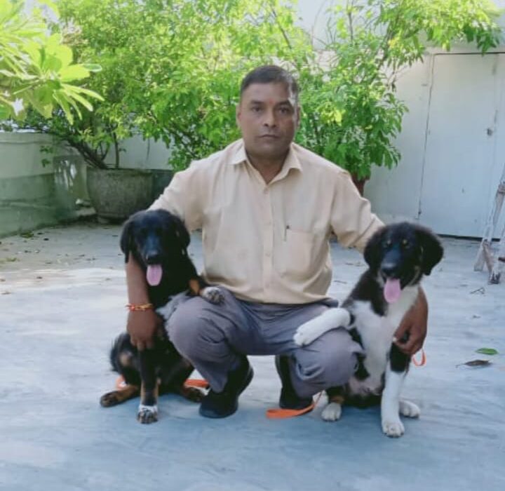 Dog Behavior Training